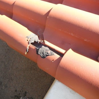1st Priority Inspections - Home Inspectors Near Me