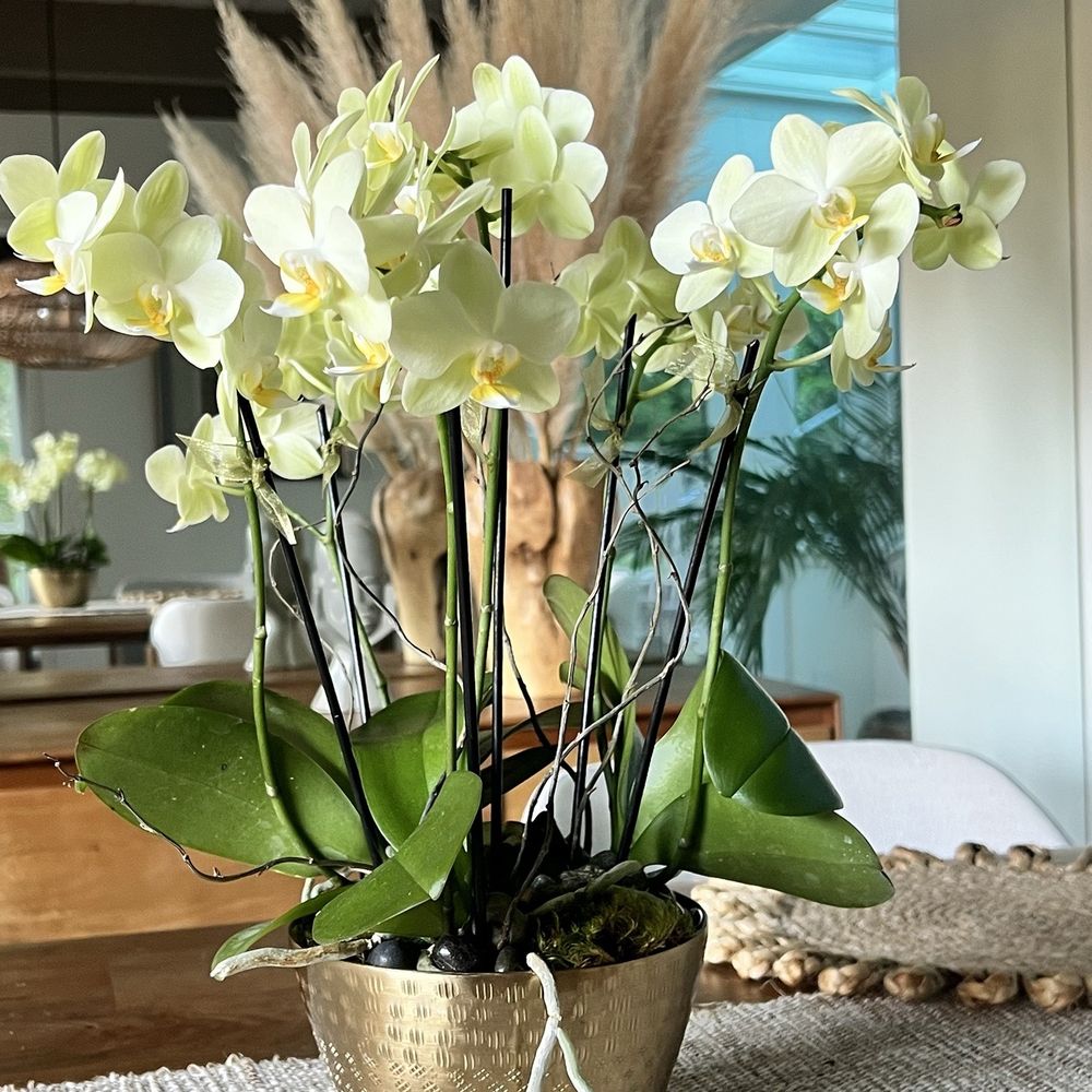 Cyclopedia of painters and paintings, image size:1000x1000