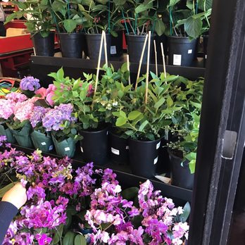 Grocery Outlet - Grocery Near Me - Spring Valley, California