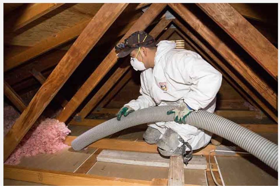 Slide of Lara's Services Group