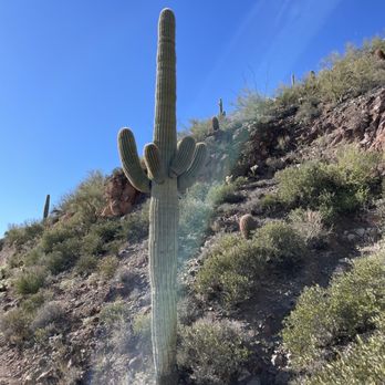 SPUR CROSS RANCH CONSERVATION AREA - Updated January 2026 - 272 Photos ...