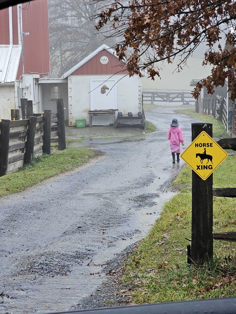 Windsong Arabians - equestrian in Mount Airy, MD