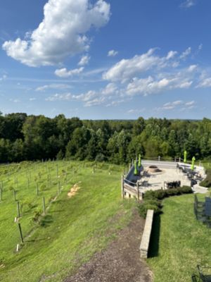 Saudé Creek Vineyards by null