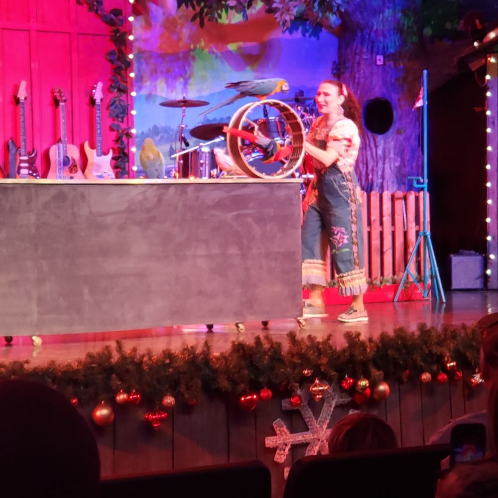 The Comedy Barn Theater - a man on stage with a wheel - Performing Arts Near Me - Pigeon Forge, Tennessee The Comedy Barn Theater - a man on stage with a wheel - Performing Arts Near Me - Pigeon Forge, Tennessee