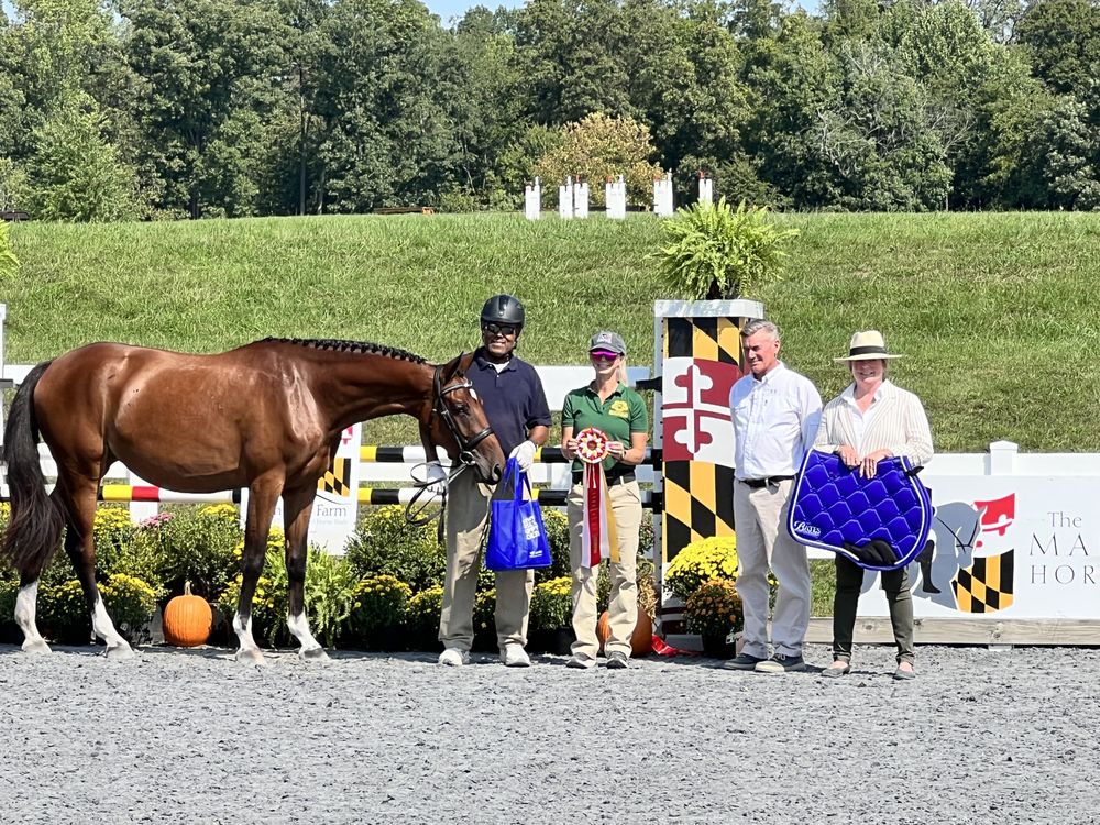 VINTAGE VALLEY SPORTHORSES Updated August 2024 12 Photos 11084