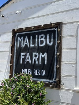 Malibu Pier by null