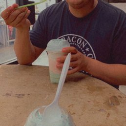 Mint Chocolate Chip Ice Cream