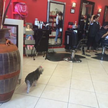 Dominican Beauty Center - Its Easter weekend and it's super busy in here however they are going a great job keeping up with the demands. - Hair Salons Near Me - Spring Valley, New York Dominican Beauty Center - Its Easter weekend and it's super busy in here however they are going a great job keeping up with the demands. - Hair Salons Near Me - Spring Valley, New York