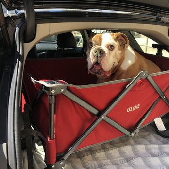 SAGE Veterinary Centers - Campbell - T-bone - Veterinarians Near Me - Campbell, California