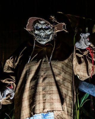 The Bates Motel and Haunted Hayride by null