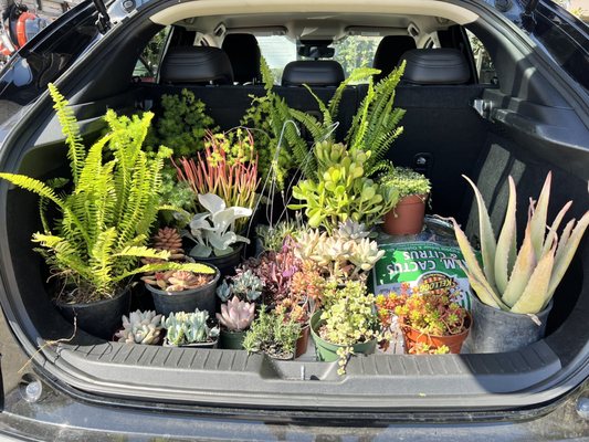 C & S Nursery by null