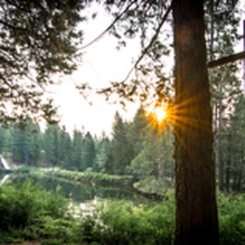 Calvin Crest Conferences - Religious Organizations Near Me - Oakhurst, California