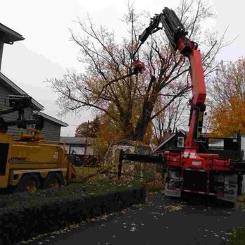 Gerasimek & Sons Tree Service - Remote control tree removal with my Tree-mek and my 20 inch capacity grapple chipper. The safest residential tree removal system on Earth. - Tree Services Near Me - Transfer, Pennsylvania Gerasimek & Sons Tree Service - Remote control tree removal with my Tree-mek and my 20 inch capacity grapple chipper. The safest residential tree removal system on Earth. - Tree Services Near Me - Transfer, Pennsylvania