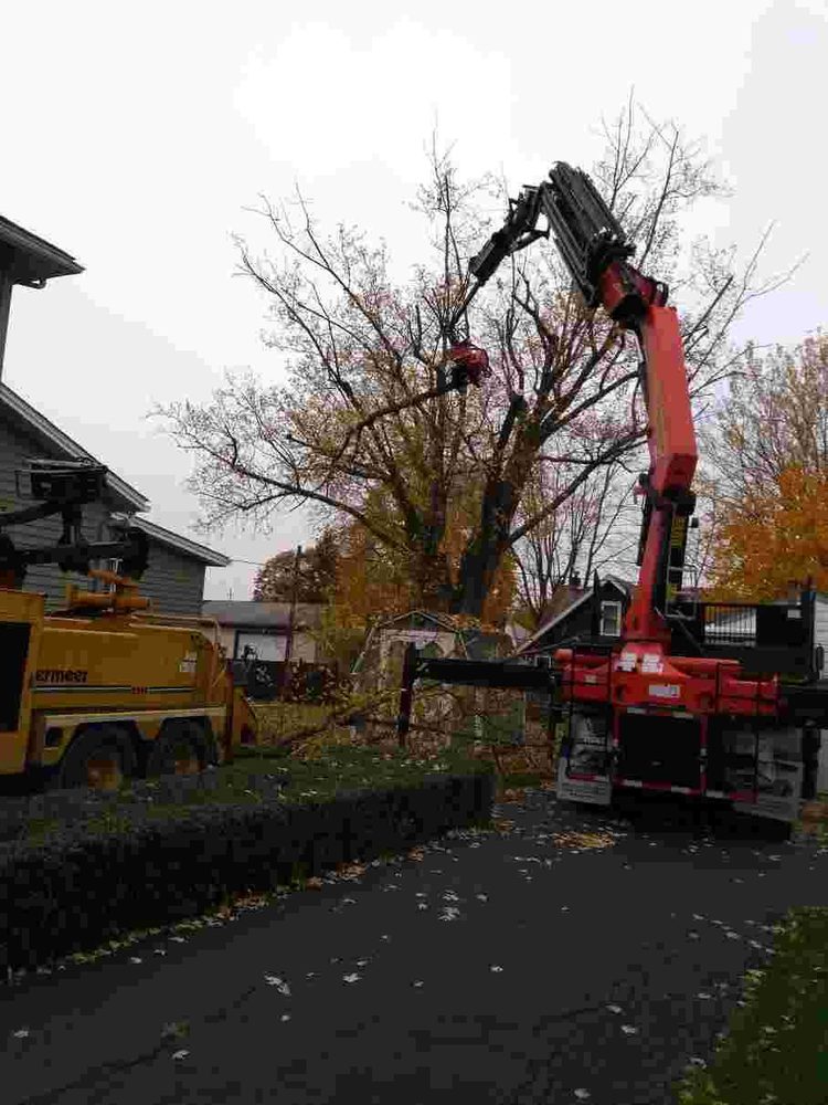GERASIMEK & SONS TREE SERVICE Updated September 2024 16 Photos 2510 Rutledge Rd, Transfer