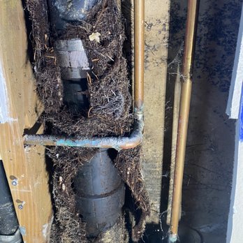 Proactive Plumbing - Broken drain pipe with roots growing around it. - Plumbing Near Me - San Marcos, California Proactive Plumbing - Broken drain pipe with roots growing around it. - Plumbing Near Me - San Marcos, California