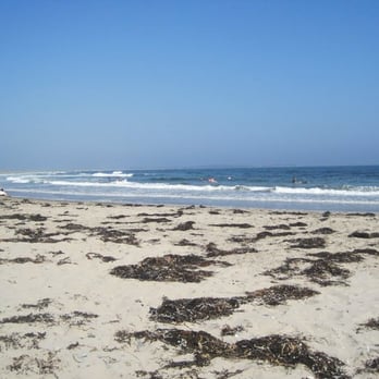 Martinique Beach Provincial Park - Looks like a lot of seaweed, but this was after a storm - Beaches Near Me Martinique Beach Provincial Park - Looks like a lot of seaweed, but this was after a storm - Beaches Near Me