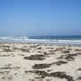 Photo of Martinique Beach Provincial Park