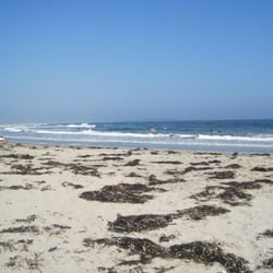 Martinique Beach Provincial Park - Looks like a lot of seaweed, but this was after a storm