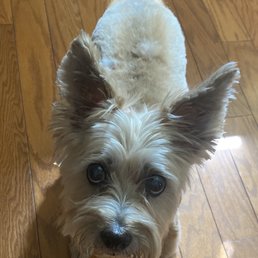 Chloe just after getting her new summer look.
