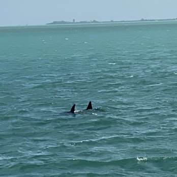 Danger Charters - Rafting/Kayaking Near Me - Key West, Florida
