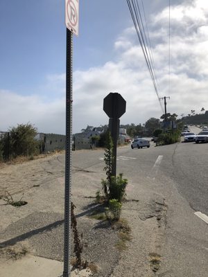 Latigo Beach by null