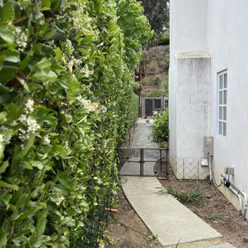 Green Plus Landscaping - After - Tree Services Near Me