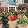 Marblehead Antiques