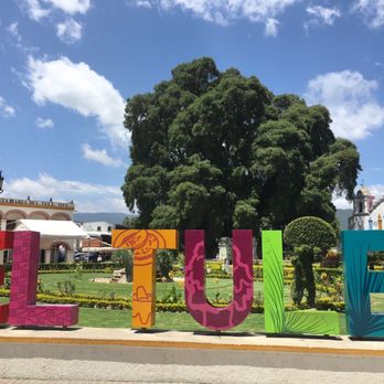 Árbol del Tule - Landmarks & Historical Buildings Near Me - Santa María El Tule, OAX
