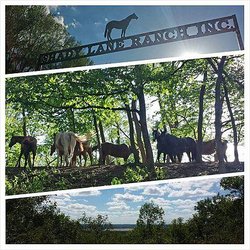 Shady Lane Ranch