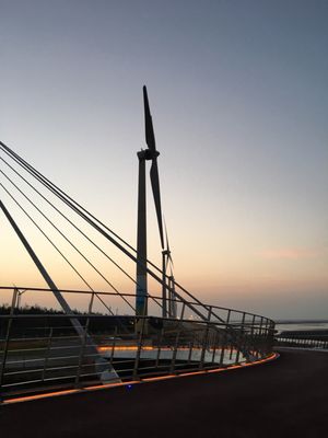 Gaomei Wetlands by null