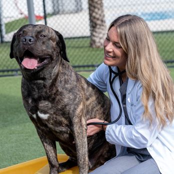 NewDay Veterinary Care University Blvd - Veterinarians Near Me - Jacksonville, Florida NewDay Veterinary Care University Blvd - Veterinarians Near Me - Jacksonville, Florida