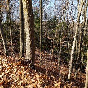 Dundas Valley Conservation Area - Parks Near Me - Dundas, Ontario