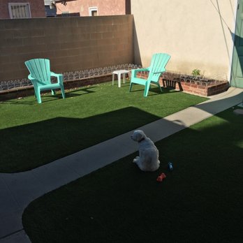 Biltright Turf - Backyard for our dog. - Landscaping Near Me
