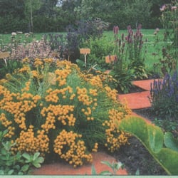 Kräutergarten