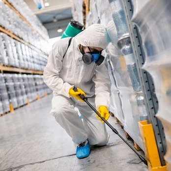 My Favorite Pest Control - untitled - Pest Control Near Me My Favorite Pest Control - untitled - Pest Control Near Me