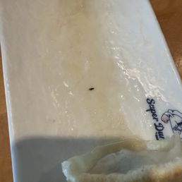 Bug in food Bug in food