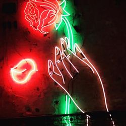 Roses By Sal