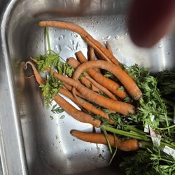 Carrots so rubbery I discarded immediately (after they shed the greens all over the place)