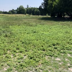 Cavalero Hill Community Park - Inside view of grassy areas of the off leash dog park.