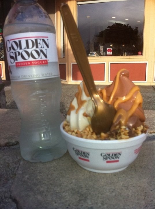 GOLDEN SPOON FROZEN YOGURT CLOSED 14 Reviews 8828 Lakewood Dr