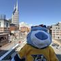 Predators Team Store