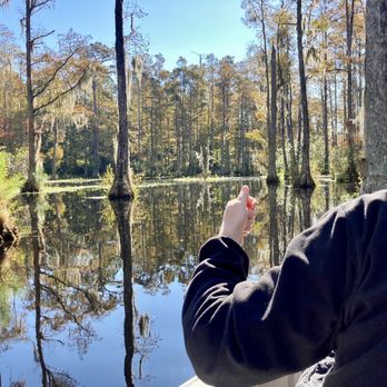 Cypress Gardens - Swamp - Parks Near Me - Moncks Corner, South Carolina Cypress Gardens - Swamp - Parks Near Me - Moncks Corner, South Carolina