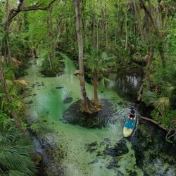 King's Landing - We had a wonderful time paddling with Otter Paddle Orlando on this trip
