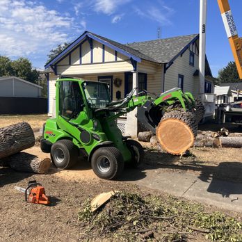 Tony's Tree Service - Pest Control Near Me - Baker City, Oregon Tony's Tree Service - Pest Control Near Me - Baker City, Oregon