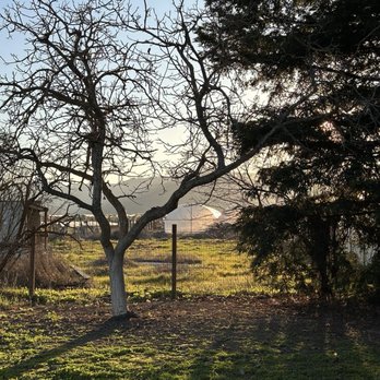 P and V Winery - Yard on a winter day - Wineries Near Me - Morgan Hill, California P and V Winery - Yard on a winter day - Wineries Near Me - Morgan Hill, California