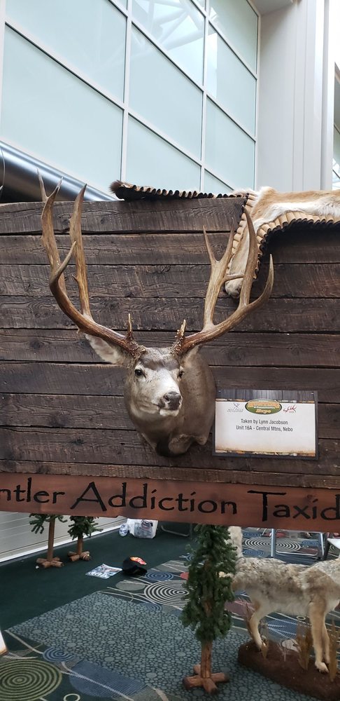 Antler Addiction Taxidermy - taxidermy in Provo, UT