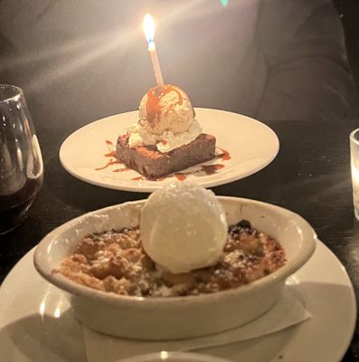 Little Owl by null Little Owl by null