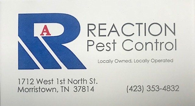 A REACTION PEST CONTROL - Updated December 2024 - Request a Quote
