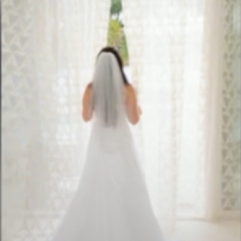 Barbara Pinker - Beautiful Bride - Officiants Near Me - Hollywood, Florida Barbara Pinker - Beautiful Bride - Officiants Near Me - Hollywood, Florida