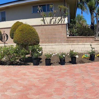 Toro Nursery - My master plan in the works - Nurseries & Gardening Near Me - Torrance, California Toro Nursery - My master plan in the works - Nurseries & Gardening Near Me - Torrance, California